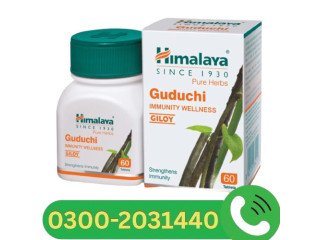 Himalaya Guduchi tablets in Gujrat | 03002031440