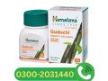 himalaya-guduchi-tablets-in-khushab-03002031440-small-0
