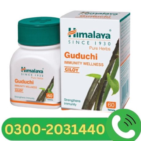 himalaya-guduchi-tablets-in-peshawar-03002031440-big-0