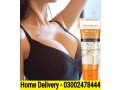 guanjing-breast-enlargement-cream-in-kotri-03002478444-small-0