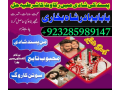 pakistan-best-amil-baba-in-lahore-karachi-france-usa-amil-baba-in-pakistan-love-marriage-and-blacop-small-0