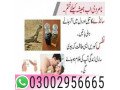 03002956665-sanda-oil-in-quetta-small-0