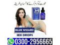 03002956665-blue-wizard-drops-in-gujranwala-small-0