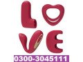 online-tracys-dog-love-vibrator-kit-in-nawabshah-03003045111-small-0