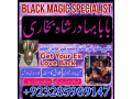 amil-baba-contact-number-real-amil-baba-asli-amil-baba-tophe-small-2
