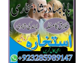 amil-baba-contact-number-real-amil-baba-asli-amil-baba-toprw-small-4