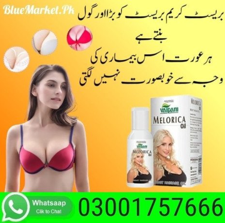vaipani-melorica-oil-in-sialkot-03001757666-big-0