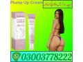 plump-up-cream-price-in-multan-03003778222-small-0