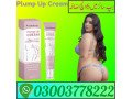 plump-up-cream-price-in-quetta-03003778222-small-0