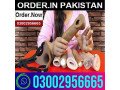 dragon-skin-color-condom-in-lahore-03002956665-small-0