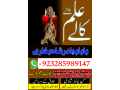 no1-top-pakistani-amil-baba-real-amil-baba-in-pak-annabajts-small-3