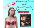 galong-beautify-bust-bio-serum-in-jhang-03001757666-small-0