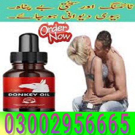 03002956665-donkey-oil-in-gujrat-big-0