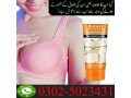 guanjing-breast-enlargement-cream-in-peshawar-03025023431-madicel-services-small-0