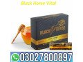 black-horse-vital-honey-in-pakistan-03027800897-order-now-small-0