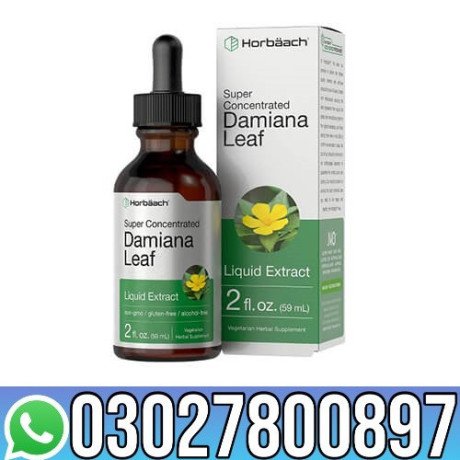 damiana-plus-oil-in-pakistan-03027800897-order-now-big-0