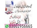 03002956665-penegra-tablets-in-sialckot-small-0